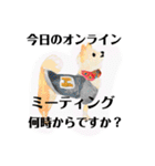 プライム会員猫さん犬さん連絡会話（個別スタンプ：38）