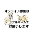 プライム会員猫さん犬さん連絡会話（個別スタンプ：39）