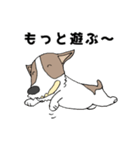 ちょい悪犬のジャック（個別スタンプ：13）