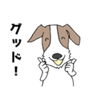 ちょい悪犬のジャック（個別スタンプ：15）