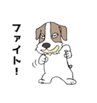 ちょい悪犬のジャック（個別スタンプ：16）