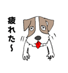 ちょい悪犬のジャック（個別スタンプ：21）