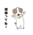 ちょい悪犬のジャック（個別スタンプ：24）