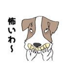 ちょい悪犬のジャック（個別スタンプ：28）