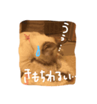みやびにゃん（個別スタンプ：7）