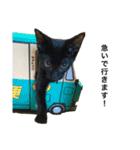 ネコのろくとさく。（個別スタンプ：1）
