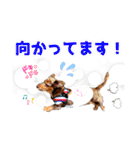 ミニチュアダックス 癒やしの日常会話（個別スタンプ：21）