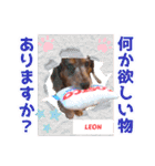 ミニチュアダックス 癒やしの日常会話（個別スタンプ：22）