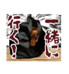 ミニチュアダックス 癒やしの日常会話（個別スタンプ：25）