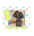 HappyBathPepのお友達C（個別スタンプ：1）