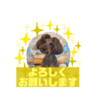 HappyBathPepのお友達C（個別スタンプ：4）
