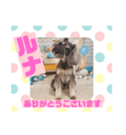 HappyBathPepのお友達C（個別スタンプ：5）
