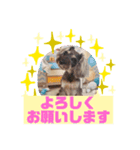 HappyBathPepのお友達C（個別スタンプ：8）
