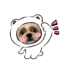 HappyBathPepのお友達C（個別スタンプ：11）