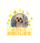 HappyBathPepのお友達C（個別スタンプ：12）
