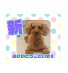 HappyBathPepのお友達C（個別スタンプ：13）