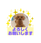 HappyBathPepのお友達C（個別スタンプ：16）