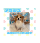 HappyBathPepのお友達C（個別スタンプ：17）