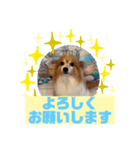 HappyBathPepのお友達C（個別スタンプ：20）