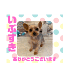 HappyBathPepのお友達C（個別スタンプ：21）