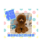 HappyBathPepのお友達C（個別スタンプ：25）