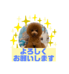 HappyBathPepのお友達C（個別スタンプ：28）