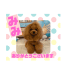 HappyBathPepのお友達C（個別スタンプ：29）