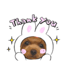 HappyBathPepのお友達C（個別スタンプ：31）