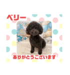 HappyBathPepのお友達C（個別スタンプ：33）
