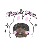 HappyBathPepのお友達C（個別スタンプ：35）