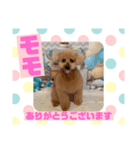 HappyBathPepのお友達C（個別スタンプ：37）