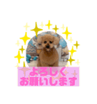 HappyBathPepのお友達C（個別スタンプ：40）