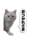 リズ 日常（個別スタンプ：14）