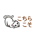 白ねこさんがチラリ（個別スタンプ：12）