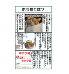 ホラ猫BIGスタンプ（個別スタンプ：10）