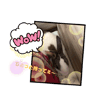 お茶目なkokkochan(6)（個別スタンプ：1）
