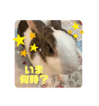 お茶目なkokkochan(6)（個別スタンプ：4）