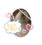 お茶目なkokkochan(6)（個別スタンプ：5）