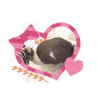 お茶目なkokkochan(6)（個別スタンプ：7）