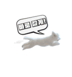 ソミ＆（個別スタンプ：2）