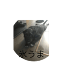 ろくのLINEスタンプ 第四弾（個別スタンプ：4）