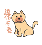 可愛い動物(犬)の返信不要スタンプとおまけ（個別スタンプ：2）