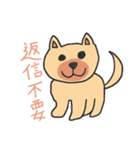 可愛い動物(犬)の返信不要スタンプとおまけ（個別スタンプ：3）