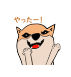 可愛い動物(犬)の返信不要スタンプとおまけ（個別スタンプ：6）