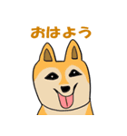 可愛い動物(犬)の返信不要スタンプとおまけ（個別スタンプ：7）