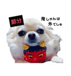キキちゃんずスタンプ（個別スタンプ：9）