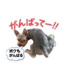 外山家の愉快な仲間たち Ⅴ（個別スタンプ：1）