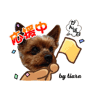 外山家の愉快な仲間たち Ⅴ（個別スタンプ：2）