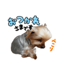 外山家の愉快な仲間たち Ⅴ（個別スタンプ：3）