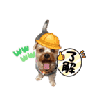 外山家の愉快な仲間たち Ⅴ（個別スタンプ：8）